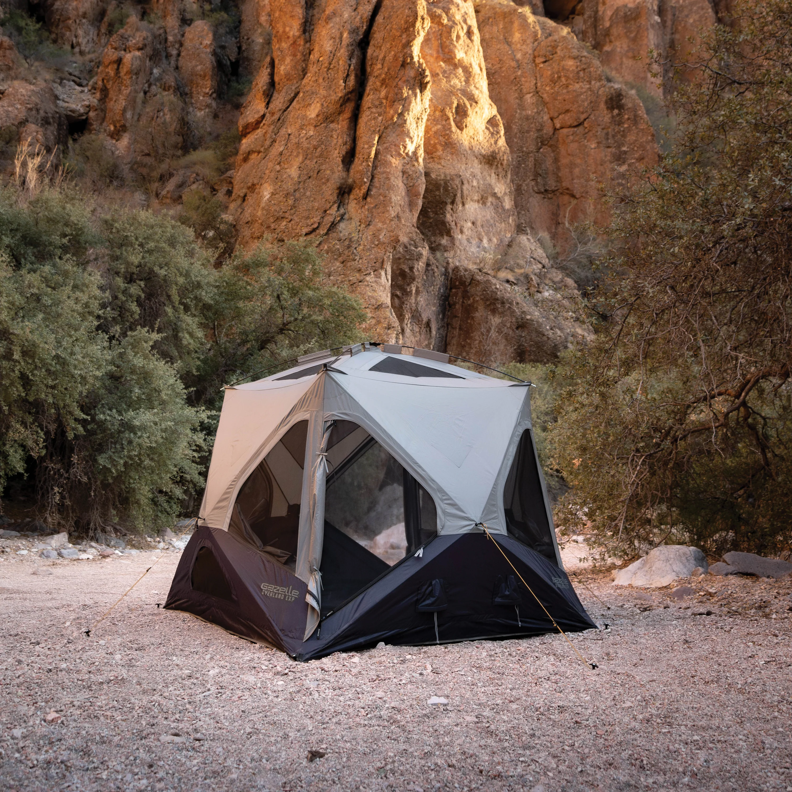 T4 Overland EXP - Image 6