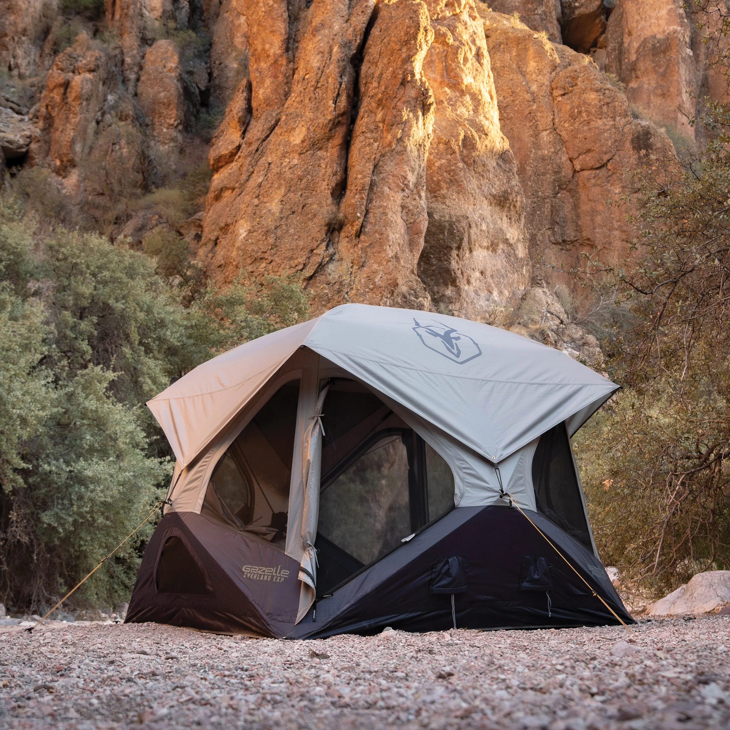 T4 Overland EXP - Image 7